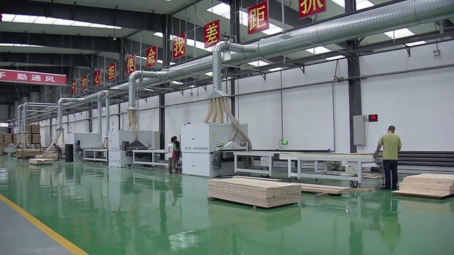 聚焦自貿區 以生物領域為突破，推動進口產品落地加工促進跨境產業融合發展