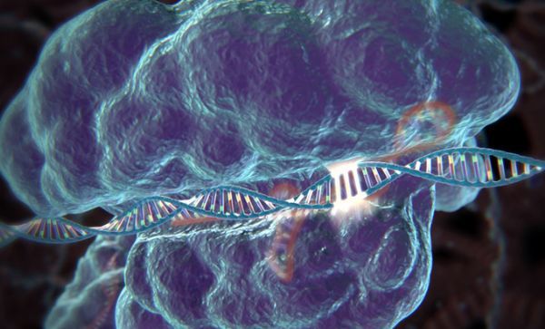 CRISPR基因編輯技術在進化發育生物學領域引發革命性突破