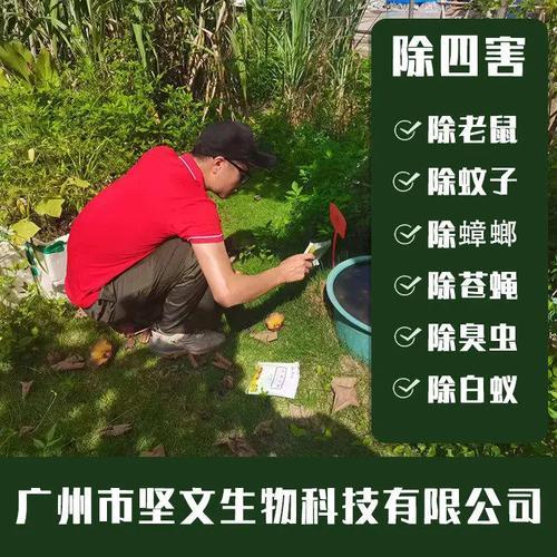 荔灣醫(yī)院滅鼠防治公司:工廠殺蟲(chóng)滅鼠方案,保障生產(chǎn)環(huán)