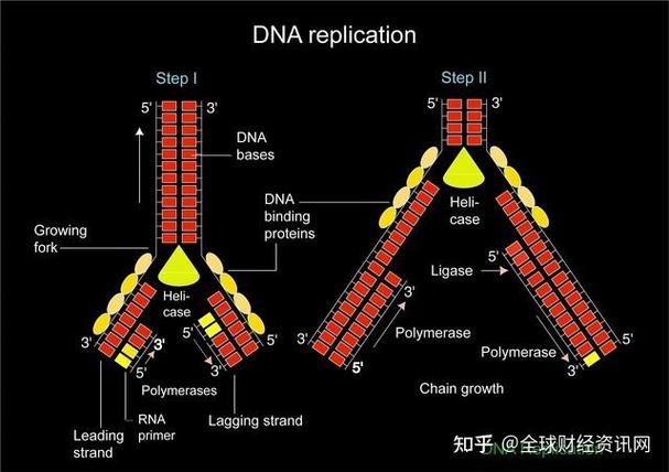 合成生物學(xué)產(chǎn)業(yè)進(jìn)入兌現(xiàn)期:從實(shí)驗(yàn)室走向工廠,生物制造開(kāi)啟產(chǎn)業(yè)新變革